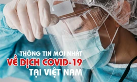 Thông tin mới nhất về diễn biến dịch COVID-19 tại Việt Nam