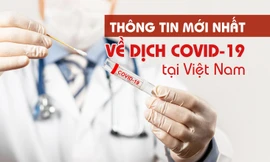 Thông tin mới nhất về diễn biến dịch COVID-19 tại Việt Nam
