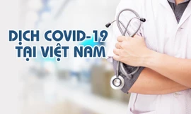 Thông tin mới nhất về tình hình dịch COVID-19 tại Việt Nam