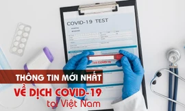 Thông tin mới nhất về diễn biến dịch COVID-19 tại Việt Nam