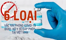 6 loại vắc xin phòng COVID-19 được cấp phép tiêm tại Việt Nam