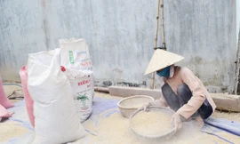 Bụi đá tấn công 9.000 dân