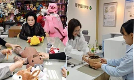 “Độc lạ Hàn Quốc”: Không chỉ có bệnh viện cho cây mà có cả bệnh viện cho thú bông