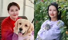 Ai sẽ thừa kế số tài sản khổng lồ của cố diễn viên Châu Hải My?