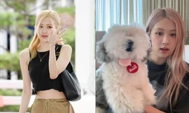 "Lời nguyền" Rosé BLACKPINK: Se duyên là đường ai nấy đi?