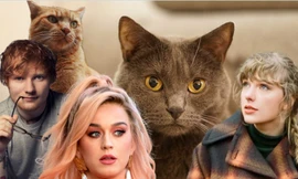 Dàn mèo cưng của sao US&UK: "Hoàng thượng" nhà Taylor Swift sở hữu nghìn tỷ