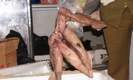 Cơ quan chức năng kiểm tra số thực phẩm nghi hết hạn sử dụng. Ảnh: MĐ