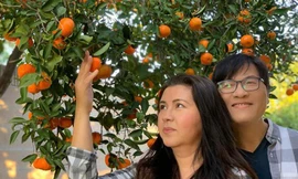 Cuộc sống hiện tại của vợ chồng ca sĩ Phương Thảo - Ngọc Lễ