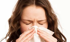 Giữa tâm dịch Covid-19, kiểm tra lại kiến thức của bạn về cái hắt xì hơi