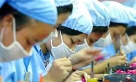 Kiểm tra 1.172 doanh nghiệp lỗ, có dấu hiệu chuyển giá