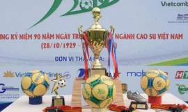 Cúp và huy chương của giải đấu