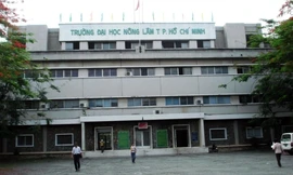 Trường ĐH Nông Lâm TPHCM lấy điểm sàn xét điểm thi đánh giá năng lực cao nhất 700 điểm