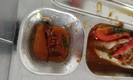 Gián trong suất ăn trưa của học sinh Trường THPT Nguyễn Văn Linh do học sinh chụp lại