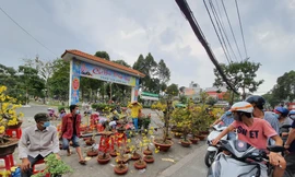Dân buôn kéo cây kiểng tràn xuống lòng đường chào mời khách chiều cuối cùng của năm