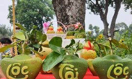 Bưởi hình thỏi vàng in hình Tài Lộc phục vụ dân chơi Tết Sài Gòn