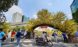 Lễ hội Tết Việt kết thúc sớm hơn dự kiến vì dịch COVID-19