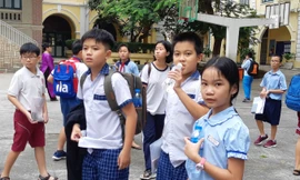 Trường công lập thứ 2 tại TPHCM tổ chức khảo sát năng lực đầu vào lớp 6