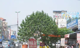 Quán rửa xe nằm án ngữ gần giữa đường Xã Đàn, thường xuyên gây ra tình trạng ách tắc giao thông. Ảnh: Hanoimoi