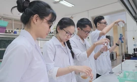 Chế viên nang giảm cân, hạ mỡ từ quả bưởi non