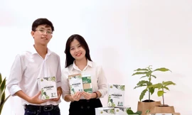 Giấc mơ đưa bơ Việt ra thế giới