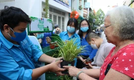 Các bạn trẻ cùng hưởng ứng chiến dịch “Thành phố xanh”