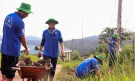 Rầm rộ tuyển quân cho "Mùa Hè Xanh"