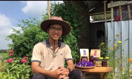 Nông trại dược liệu của Dư