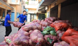 Bạn trẻ TP. HCM "giải cứu" nông sản cho nông dân Hải Dương