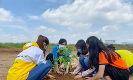 Sinh viên HUTECH hăng hái tham gia công trình “Vườn sinh học HIAS”