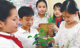 Tuyển sinh lớp 1 và 6: Trường tư đắt hàng