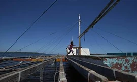 Một em bé nô đùa trên một chiếc tàu cá bị bỏ rơi trên bờ biển Philippines