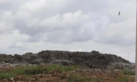 Xử lý rác không hết, hai công ty để tồn rác trong nhà máy gây ảnh hưởng môi trường