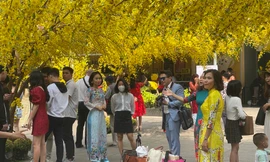 TPHCM: Du xuân sớm, nhiều người lơ là phòng dịch COVID -19