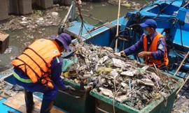 Hai cơn mưa ở TPHCM làm chết gần 14 tấn cá trên kênh