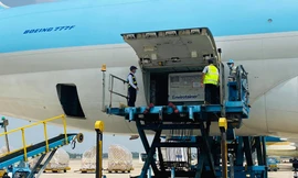 Cận cảnh lô vắc xin ngừa COVID-19 đầu tiên về Việt Nam