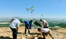 Thanh niên xây đường hoa lên núi hòn Vượn xứ Huế