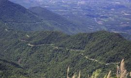 Cấm du khách mang đồ ăn, liên hoan ở Vườn quốc gia Bạch Mã 