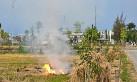Mịt mù khói đốt đồng mùa gặt ở Huế