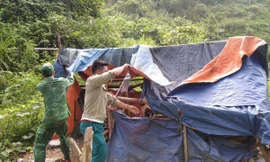 Tái diễn nạn khai thác vàng trái phép tại vùng cao TT-Huế