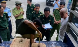 Bắt quả tang hai ô tô vận chuyển gỗ lậu về thành phố 