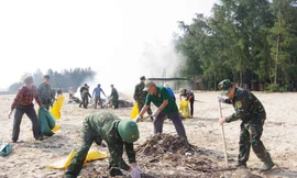 Chung tay bảo vệ môi trường biển