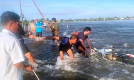 Cố vượt qua đoạn đường ngập lụt, hai vợ chồng bị nước cuốn trôi