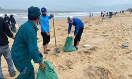 Huế hoàn thành xử lý thu gom hàng trăm tấn dầu vón cục trôi dạt vào bờ biển