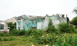 Dự án chỉnh trang khu vực I Kinh thành Huế ngổn ngang, di tích lại 'hóa' rừng