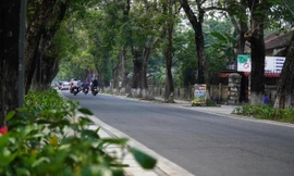 Đường Đoàn Thị Điểm và 3 tuyến đường khác bên trong Kinh thành Huế sẽ trở thành phố đêm.