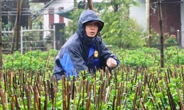 Huế lạnh như mùa đông vào giữa tháng 4