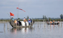 Ra quân ‘giải vây’ mặt nước đầm phá Tam Giang - Cầu Hai