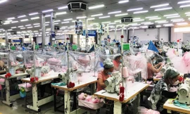 TT-Huế giảm thuế, tiền thuê đất để hỗ trợ phục hồi kinh tế