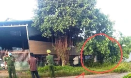 Kinh hãi phát hiện người đàn ông tử vong trong tư thế treo cổ trên cây