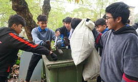 Đoàn viên, thanh niên Huế ra quân Chủ nhật xanh đón Tết 